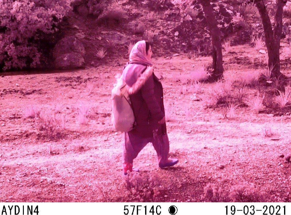 Fotokapana yakalanan görüntüler şoke etti! Kimse anlamadı